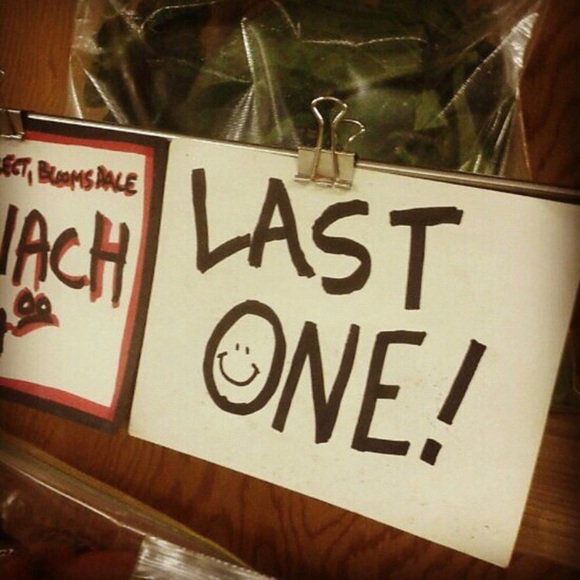 Betsey Johnson Bold Blue Roses 4-Piece Towel Set - Picture 6 of 6